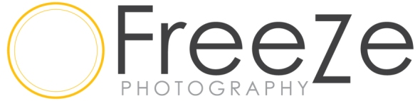 LogoFreeze